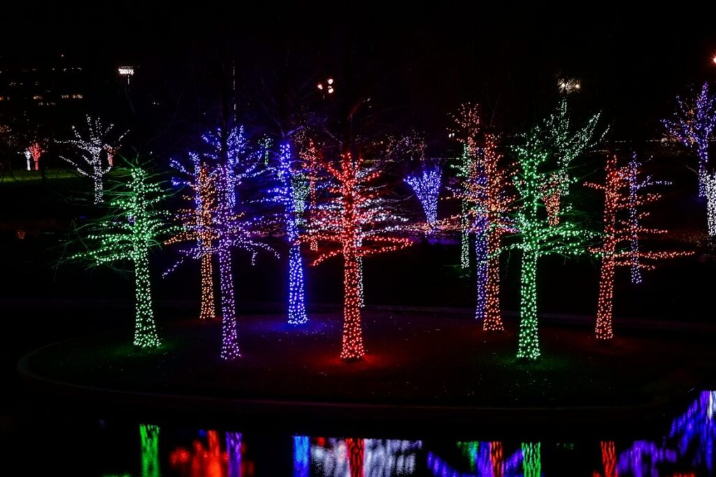 A group of leafless trees wrapped in vibrant Christmas lights in red, green, blue, purple, and white, glowing against the night sky with reflections in the water below.