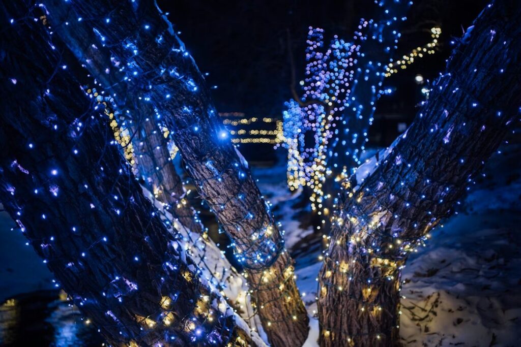 Close-up of tree trunks wrapped in glowing blue and warm white Christmas lights, surrounded by snow in a nighttime winter landscape.